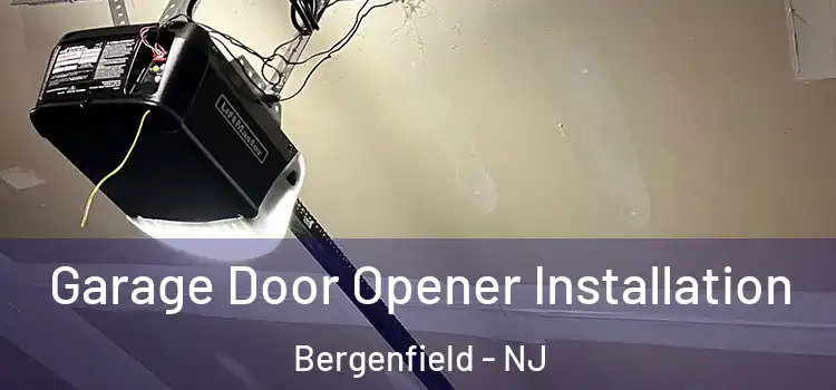  Garage Door Opener Installation Bergenfield - NJ