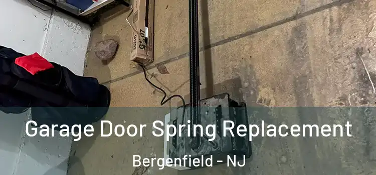  Garage Door Spring Replacement Bergenfield - NJ